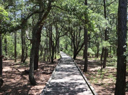 Corolla Wild Horse Fund, Nature Walk