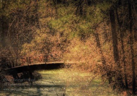 Duck Town Park, Rotating Art Show - George Wood
