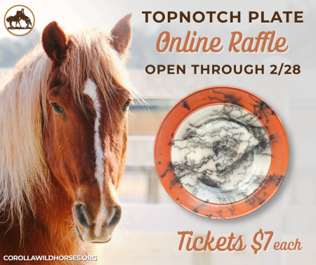 Corolla Wild Horse Fund, Valentine’s Day Raffle Fundraiser