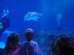 North Carolina Aquarium on Roanoke Island, Ocean Explorers Camp