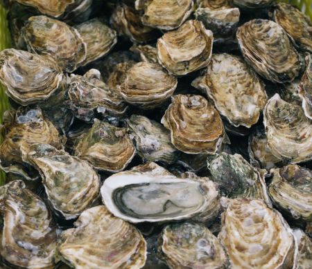 Taste of the Beach, *Canceled* Oinking Oysters – Beer and Bourbon BBQ & Oyster Pairing at Shipwrecks
