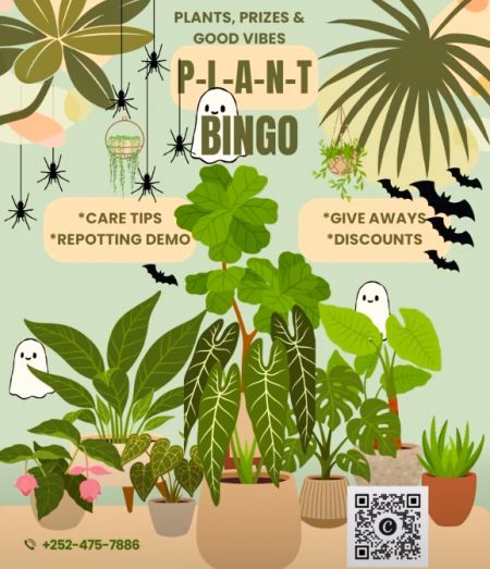 Bough & Vine, Plant Bingo