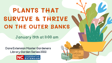 Dare Master Gardener Association, Library Garden Series 2022: Plants That Survive & Thrive on the OBX (NEW)