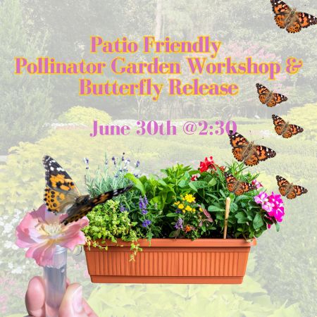 Elizabethan Gardens, Patio Friendly Pollinator Garden Workshop