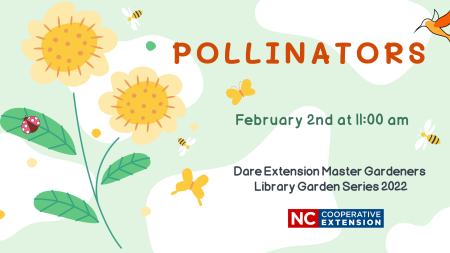 Dare Master Gardener Association, Library Garden Series 2022: Pollinators