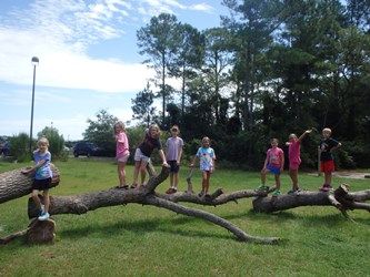 North Carolina Aquarium on Roanoke Island, Roanoke Island Explorers - Nature Play Camp