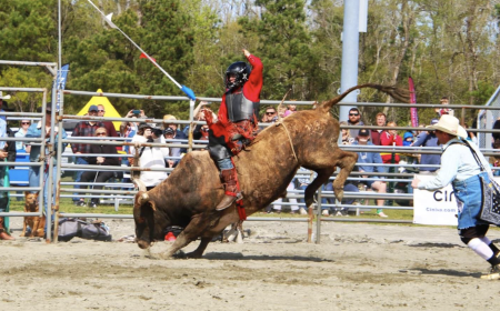 The Northern Outer Banks, Currituck Bulls and BBQ