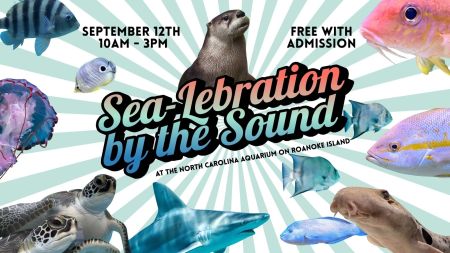 North Carolina Aquarium on Roanoke Island, Sea-lebration by the Sound