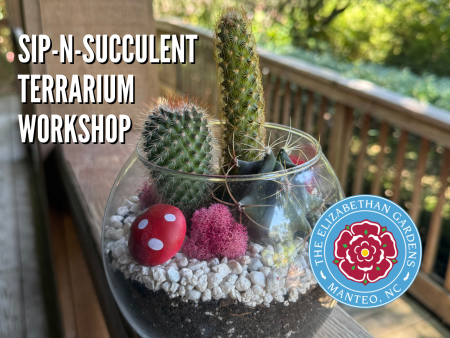 Elizabethan Gardens, Glass Terrarium Workshop