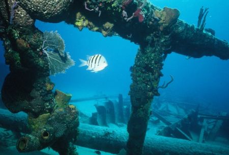Graveyard of the Atlantic Museum, Annual Underwater Heritage Symposium