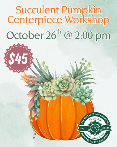 Elizabethan Gardens, Succulent Pumpkin Centerpiece Workshop