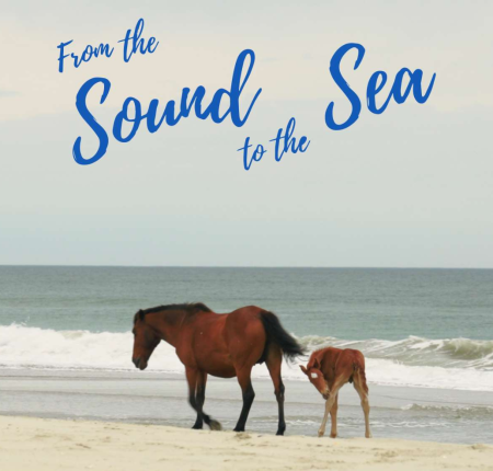 Corolla Wild Horse Fund, From the Sound to the Sea Documentary Premiere