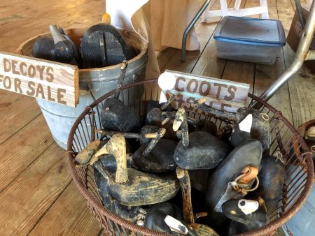 Ocracoke Civic & Business Association, 7th Annual Ocracoke Island Waterfowl Festival