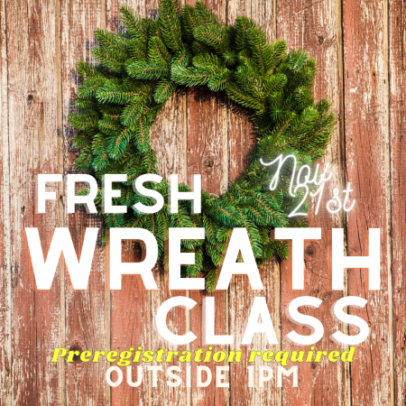 OBX Events, Fresh Live Evergreen Wreath Class
