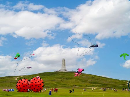 Kitty Hawk Kites, 47th Annual Wright Kite Festival