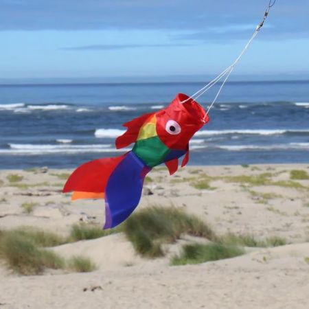 Kitty Hawk Kites, Rainbow Damsel Fish Wind Sock