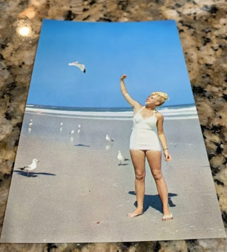 Absolutely Outer Banks, Vintage OBX Postcards