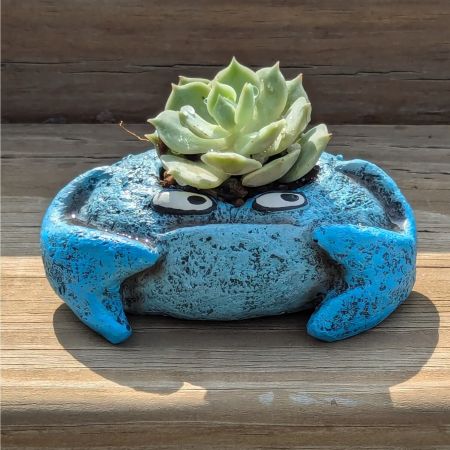 Silver Bonsai Gallery, Kids Gifts