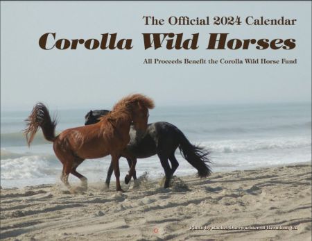 Corolla Wild Horse Fund, Official Calendar