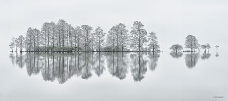 SeaDragon Gallery, World Photographic Cup Gold Medal Photograph
