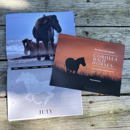 Corolla Wild Horse Fund, Official Calendar