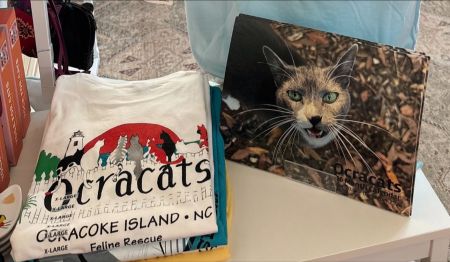 Mermaid’s Folly, 2026 Ocracat Calendar