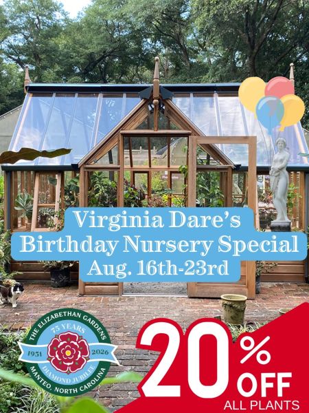 Elizabethan Gardens, 20% Off All Plants