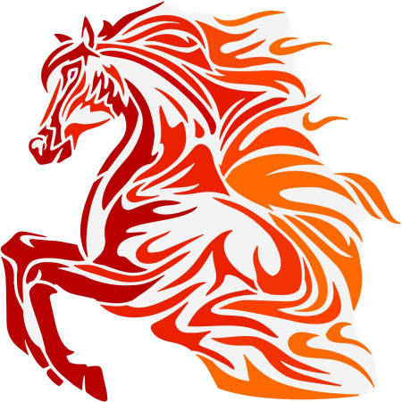Bianca's Outer Banks Psychic Readings, Year of the Fire Horse: Special Rate on Tea Leaf Readings