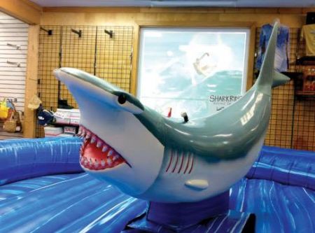Kitty Hawk Surf Co., Ride the Shark!