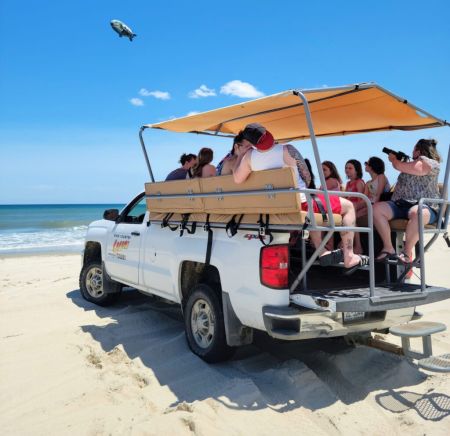 Back Country Wild Horse Safari, 4x4 Beach Safari Tour