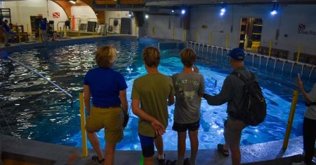 North Carolina Aquarium on Roanoke Island, Birthday Parties