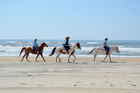 Kitty Hawk Kites, Hatteras Beach Horseback Riding Tours