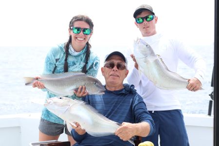 Wild Card Sportfishing Charters, Deep Sea Offshore Fishing Charters