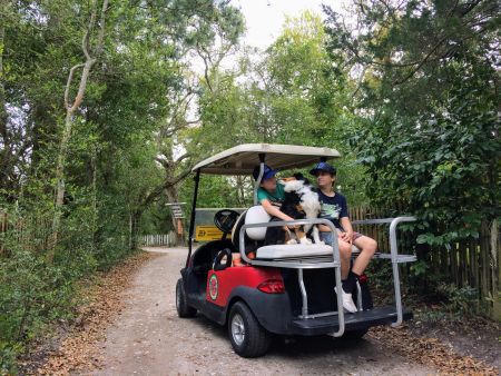 Ocracoke Island Golf Carts, Explore Ocracoke by Cart