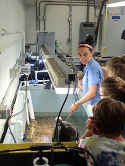North Carolina Aquarium on Roanoke Island, Behind the Scenes Tour