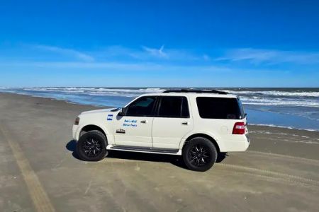 Bob's Corolla Wild Horse Tours, Enclosed SUV Wild Horse Tour