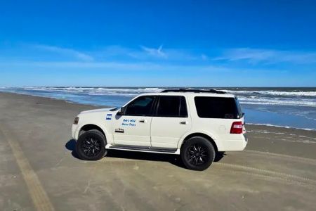 Back Beach Wild Horse Tours, Enclosed SUV Wild Horse Tour