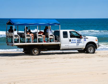 Bob's Corolla Wild Horse Tours, 4x4 Wild Horse Tours