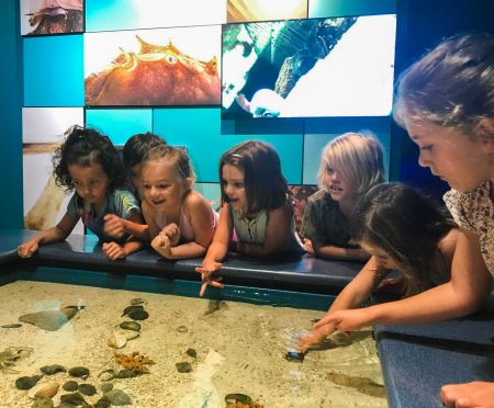 North Carolina Aquarium on Roanoke Island, Day Camps