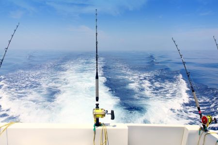 Kitty Hawk Kites, Off-Shore & In-Shore Fishing Charters