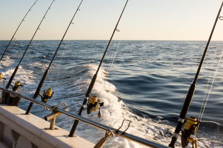 Kitty Hawk Surf Co., Deep Sea Fishing Charters