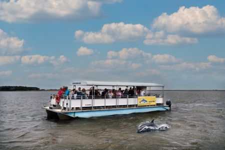 Kitty Hawk Kites, Outer Banks Dolphin Tours