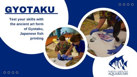 North Carolina Aquarium on Roanoke Island, Gyotaku - “Fish Printing”