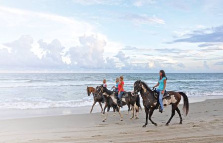Kitty Hawk Kites, Hatteras Beach Horseback Riding Tours