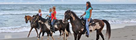 Kitty Hawk Kites, Hatteras Beach Horseback Riding Tours
