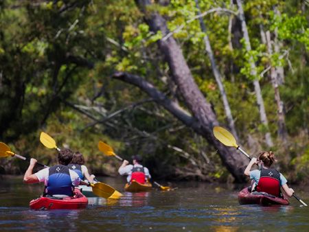 Kitty Hawk Surf Co., OBX Kayak Tours