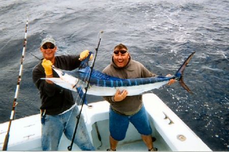 Tuna Duck Sportfishing, Billfishing