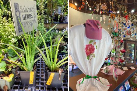 Elizabethan Gardens, Gift Shop & Plant Sales