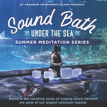 North Carolina Aquarium on Roanoke Island, Sound Bath Under the Sea: Meditation Session