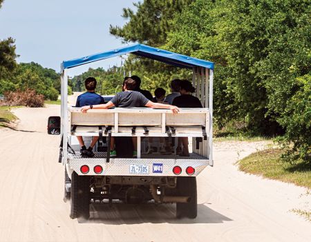 Back Beach Wild Horse Tours, Tour Scenic 4x4 Wild Horse Area